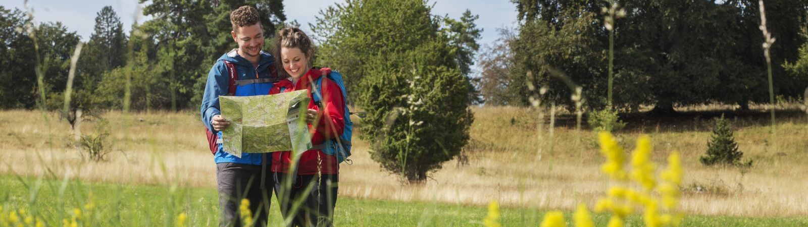 Bild von zwei Wanderern, die auf einer Wiese stehen, im Hintergrund sind Bäume und eine Wanderkarte betrachten