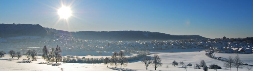 Picture of a snowy winter landscape, with a housing estate in the background and bright sunshine