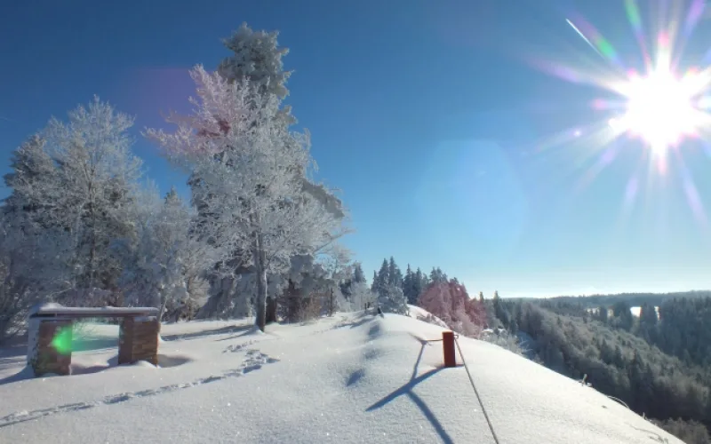 Bild von einer Winterlandschaft schneebedeckt, mit blauem Himmel und strahlender Sonne
