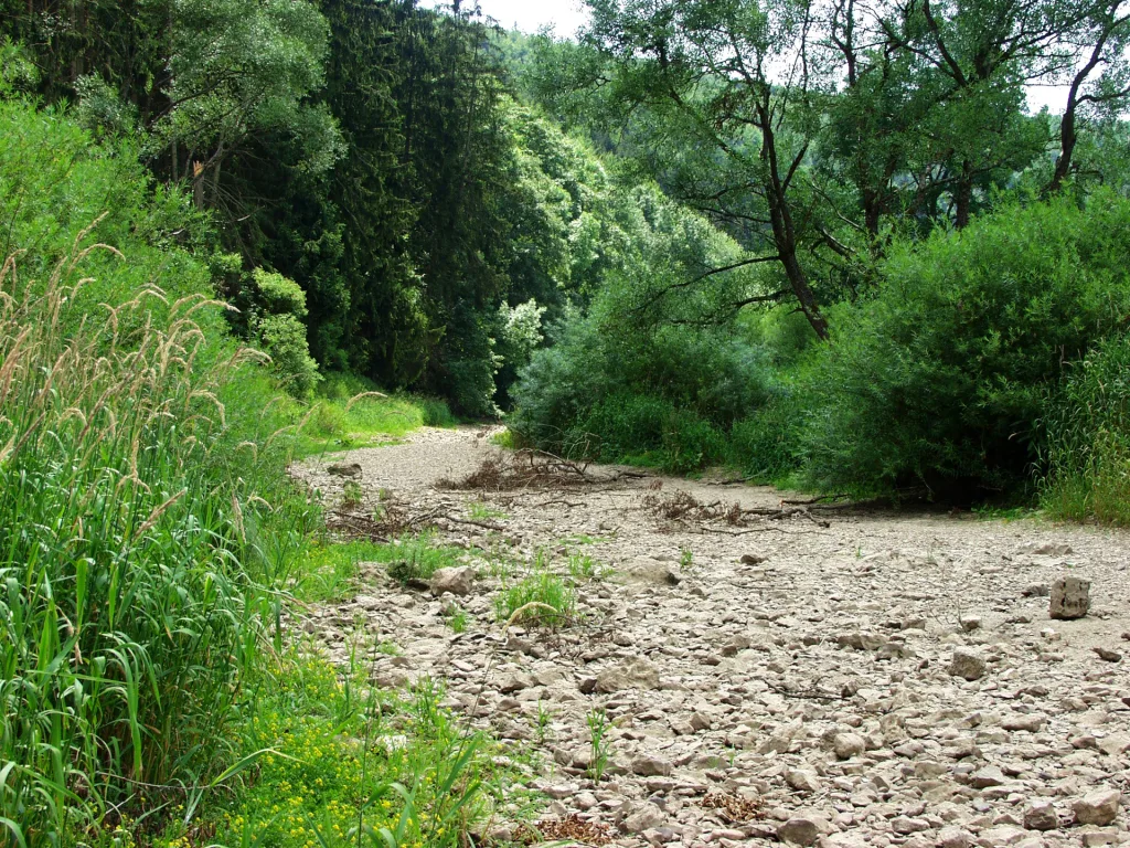 Trockenes Donau-Flussbett