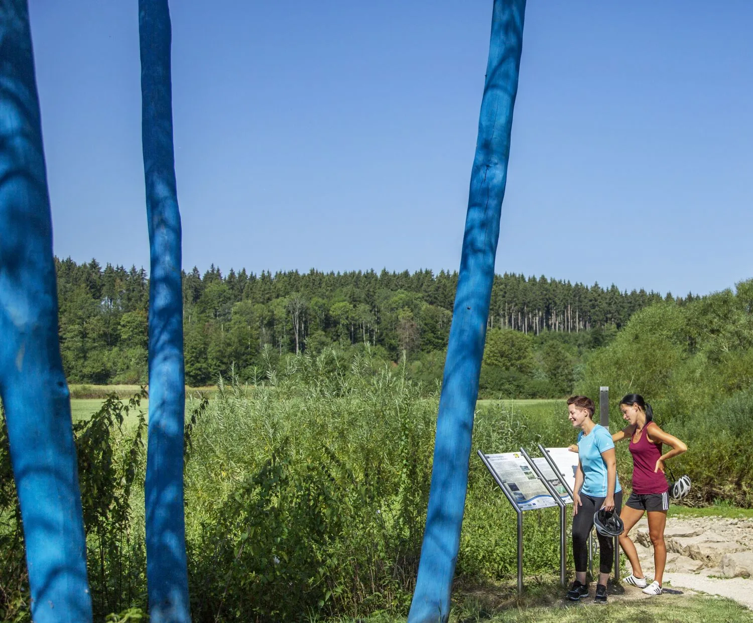 Danube seepage, ford on the Danube near Immendingen