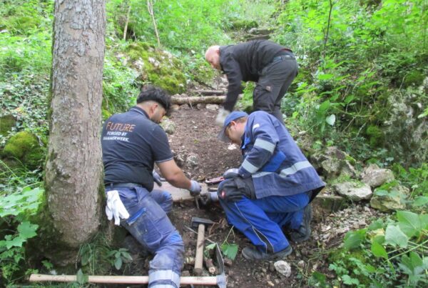3 Männer im Wald am Wanderweg bei der Reparatur von Treppen