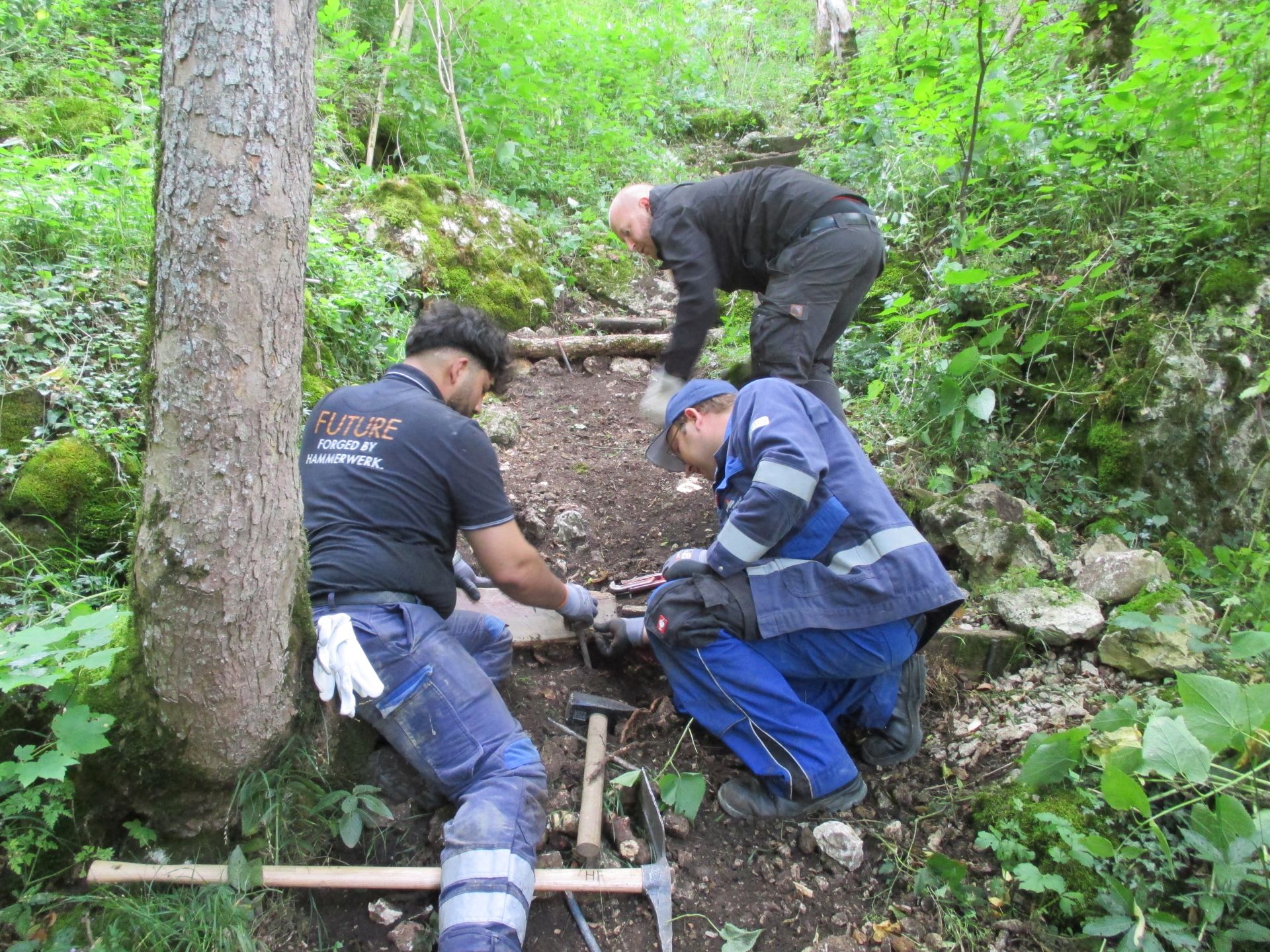 3 Männer im Wald am Wanderweg bei der Reparatur von Treppen