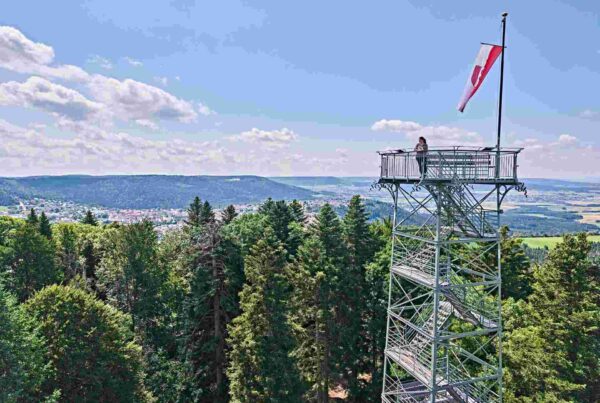 Blick auf den Lembergturm