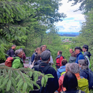 22 Teilnehmende wandern am "Tag des Wanderns" zum Vulkankrater Höwenegg. © Gemeinde Immendingen