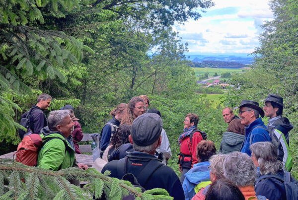 22 Teilnehmende wandern am "Tag des Wanderns" zum Vulkankrater Höwenegg. © Gemeinde Immendingen