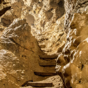 Imression aus der Mühlheimer Felsenhöhle. © Stadt Mühlheim, Foto: Markus Raab