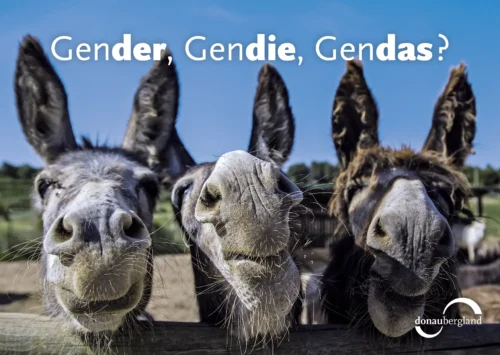 Gender, gendie, gendas?
