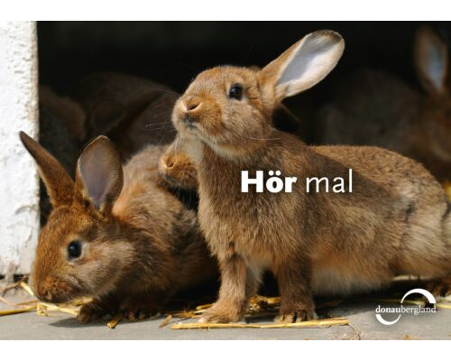 Hör mal