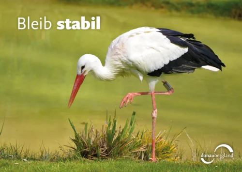 Bleib stabil