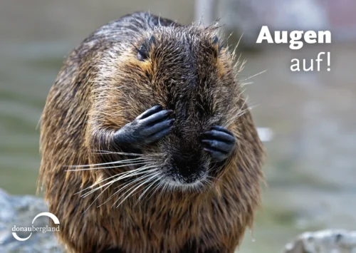 Augen auf!